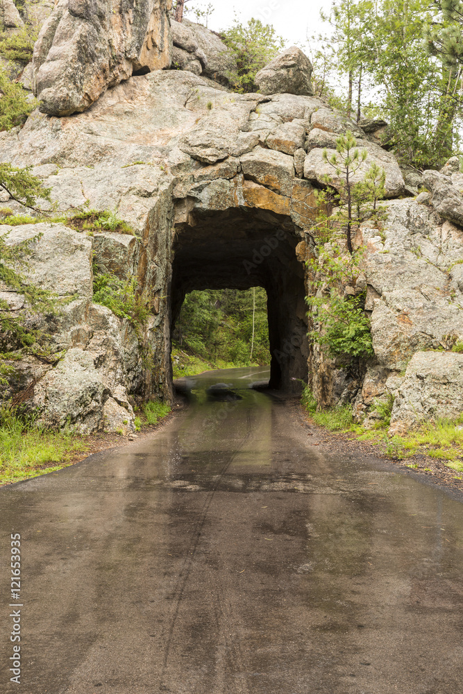 Iron Creek Tunnel / A narrow tunnel on a road. Iron Creek Tunnel / A narrow tunnel on a road.
