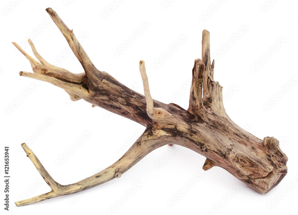 Driftwood Driftwood