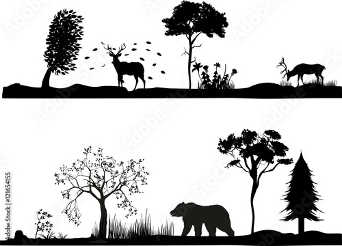Vector - set of monochrome vector landscapes wildlife, forest