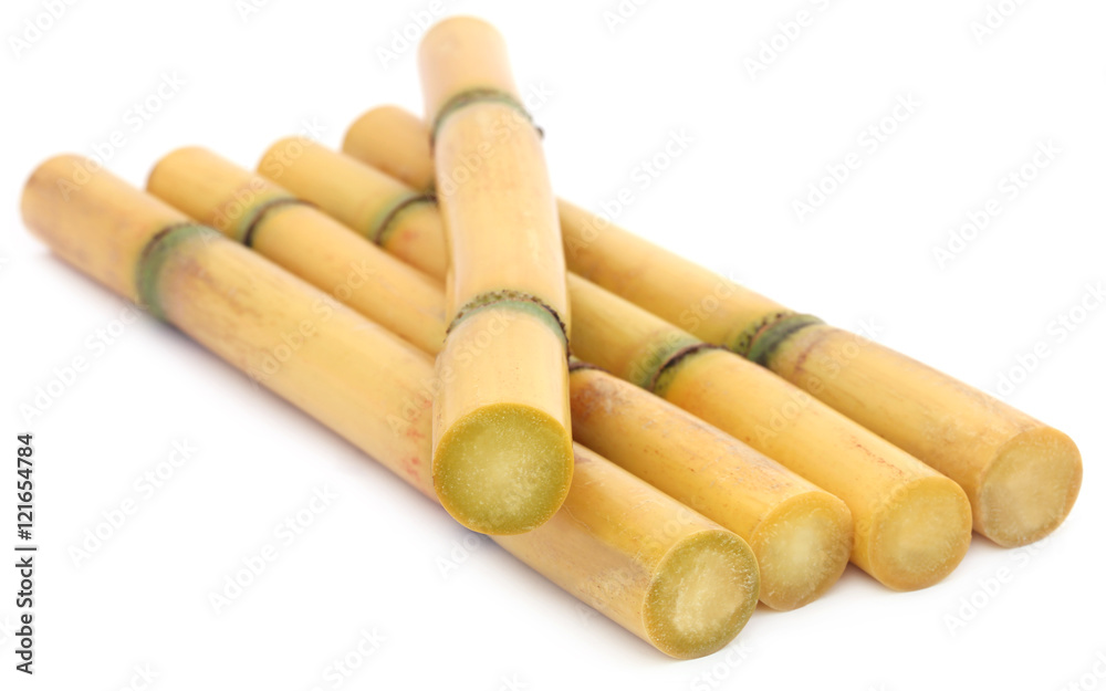 Pieces of sugarcane Pieces of sugarcane
