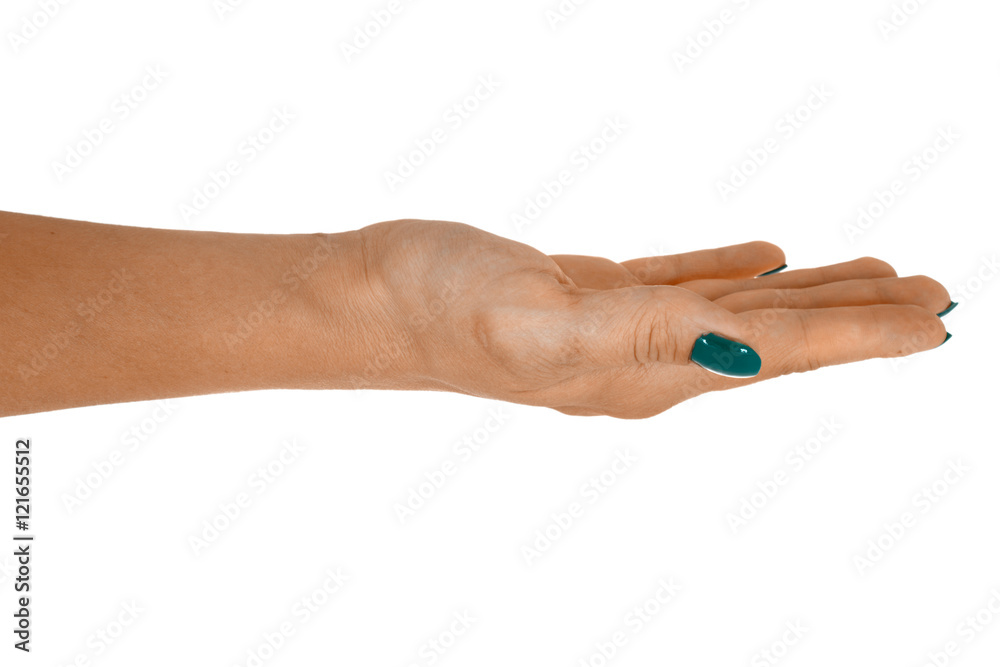 Fototapeta premium Palm up showing something, middle-aged woman's skin, cyan manicure. Isolated on white background