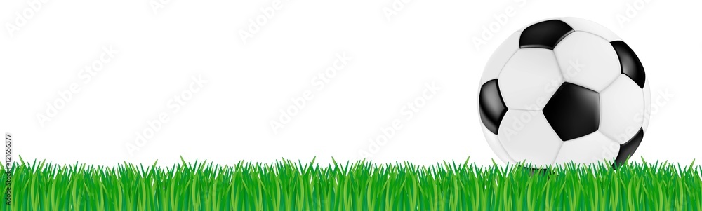 Fototapeta premium soccer retro vector leather ball black white on green grass