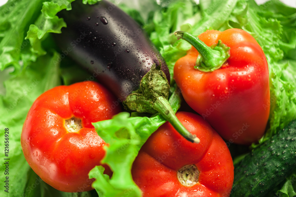 Fresh organic vegetables. Autumn vegetables. Harvesting. Ingredients for the salad. Lettuce, tomatoes, cucumbers, zucchini, eggplant, peppers, chillies.