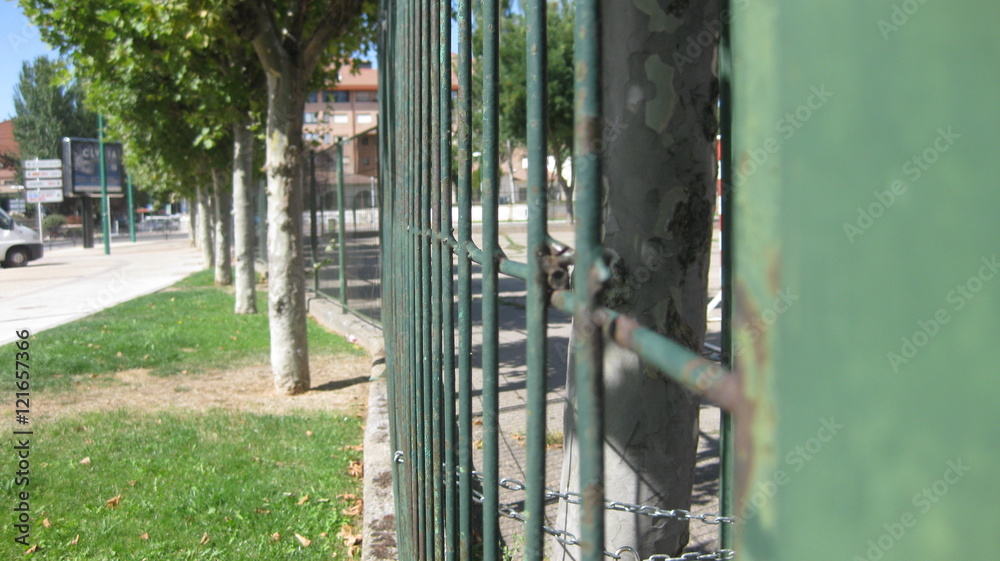 Jardines, calles y pájaros. Jardines, calles y pájaros.