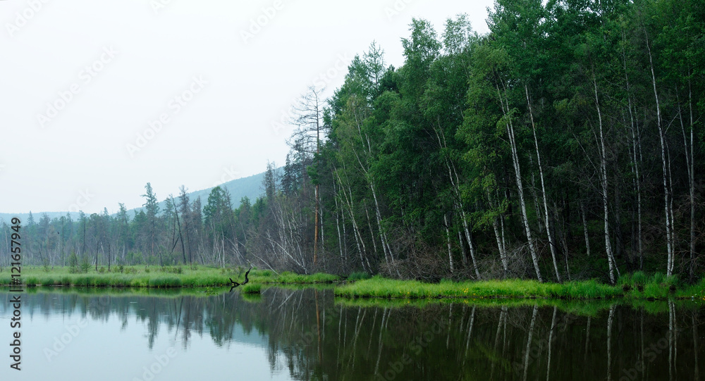 misty morning on the lake. early summer morning. drizzling rain. forest on the lake. photo toned.soft focus
