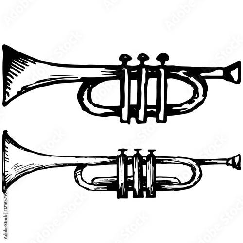 Trumpet  musical instrument. Vector illustration  doodle style