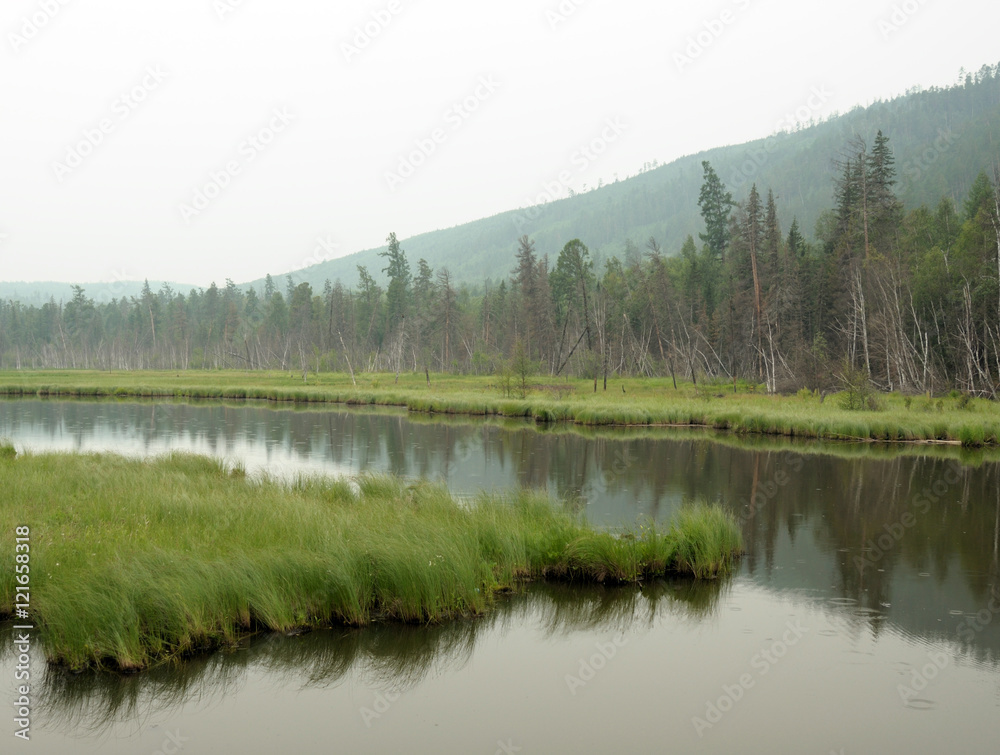 misty morning on the lake. early summer morning. drizzling rain. forest on the lake. photo toned.soft focus