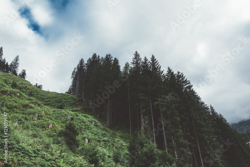 Trees on mountain with sky ...