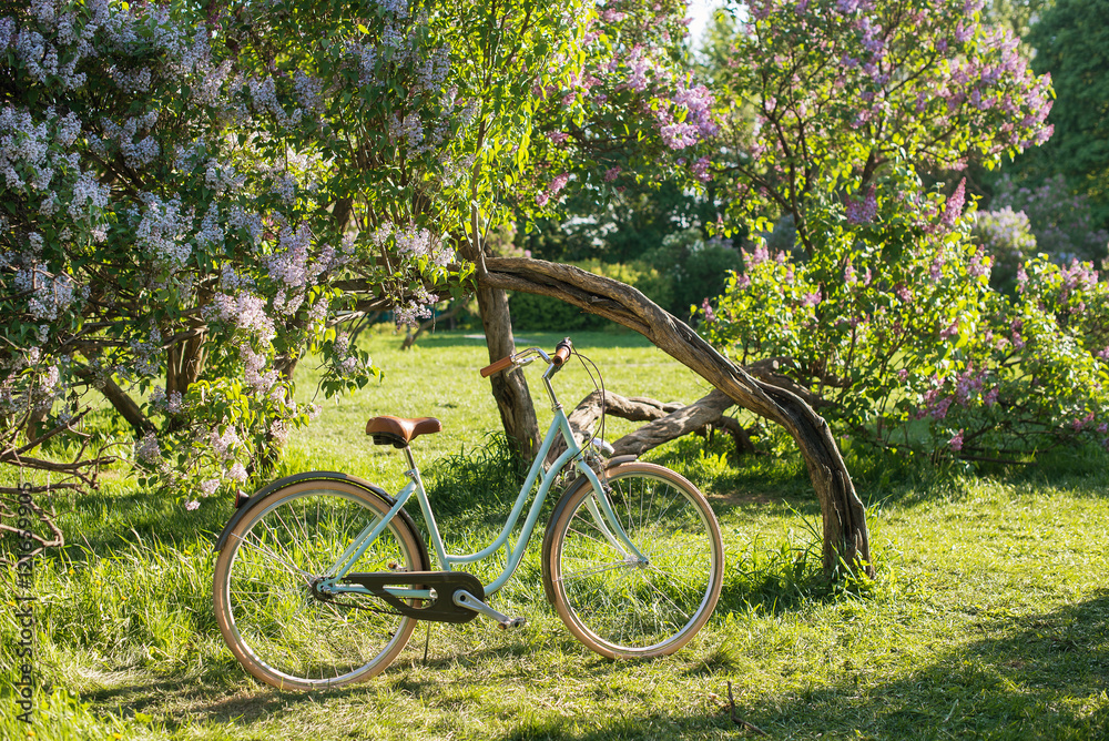 Naklejka premium Beautiful bike near the flowers tree in springtime