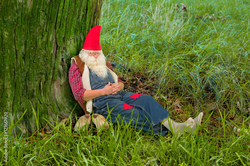 Forest gnome sleeping © Anneke