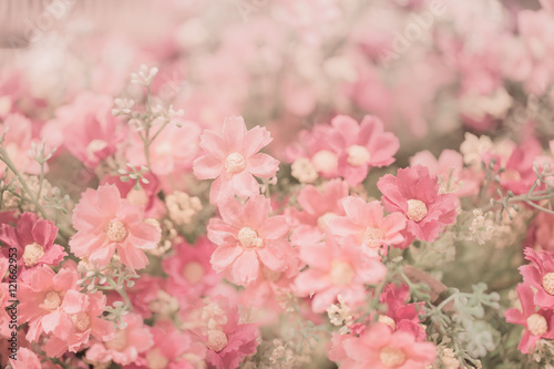 Pink flower vintage color tone background love concept