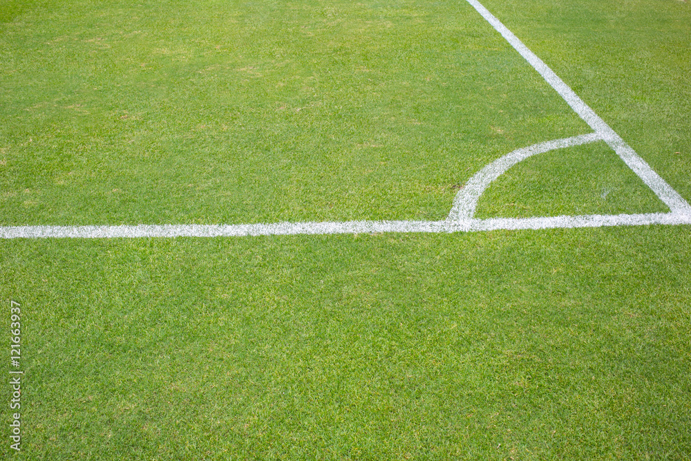 conner grass field,football or soccer game conner grass field,football or soccer game