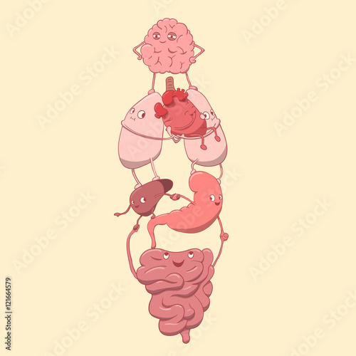 cute internal organs are friendly and happy