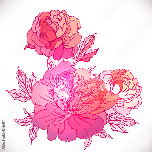 Vintage hand-drawing background with flowers.