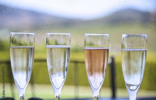 Sparking champagne and rose in southern Napa Valley, Domaine Carneros