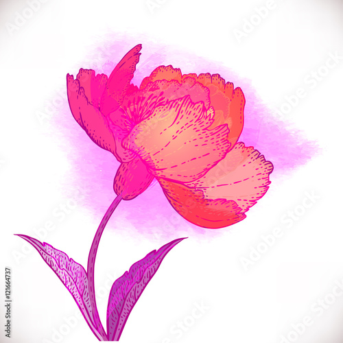 Vintage hand-drawing background with flowers.