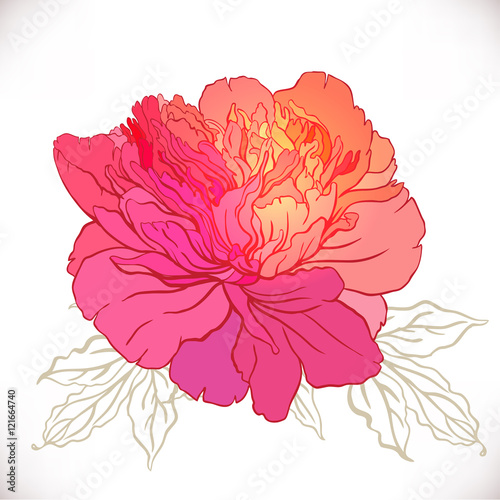 Vintage hand-drawing background with flowers.