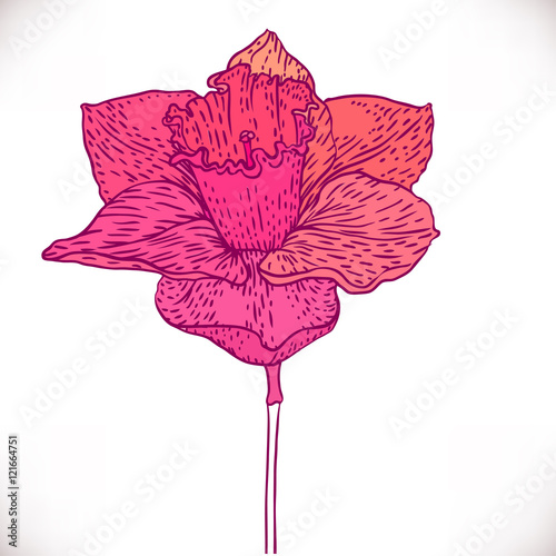 Vintage hand-drawing background with flowers.
