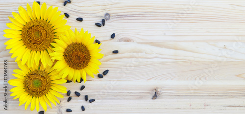 Fototapeta Naklejka Na Ścianę i Meble -  Three sunflowers and seeds on wooden background