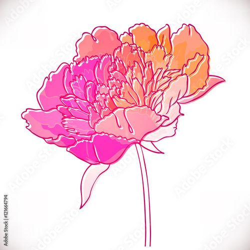Vintage hand-drawing background with flowers.