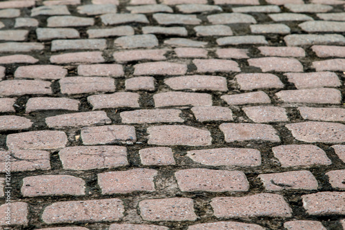 Brick worm or Bricklaying worm on the walkway, Shooting angle in