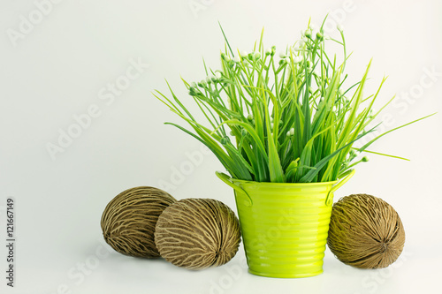 Grass plastic in orange flowerpot color with pong pong seed or Othalanga,Cerbera oddloam's seed background. photo