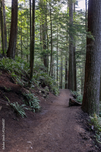 Hiking Trail