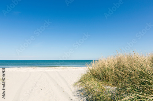 Fototapeta Naklejka Na Ścianę i Meble -  Weg durch den Sand zum Strand im Sommer