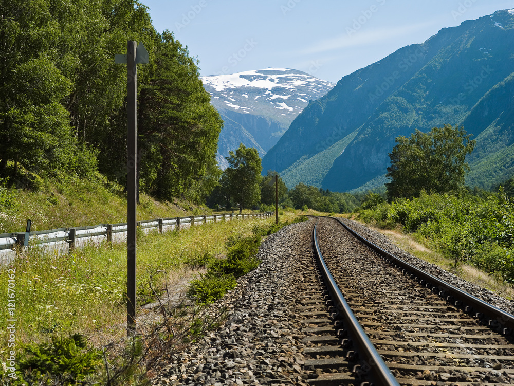 Fototapeta premium Train in Romsdalen Valley in Norway in summer