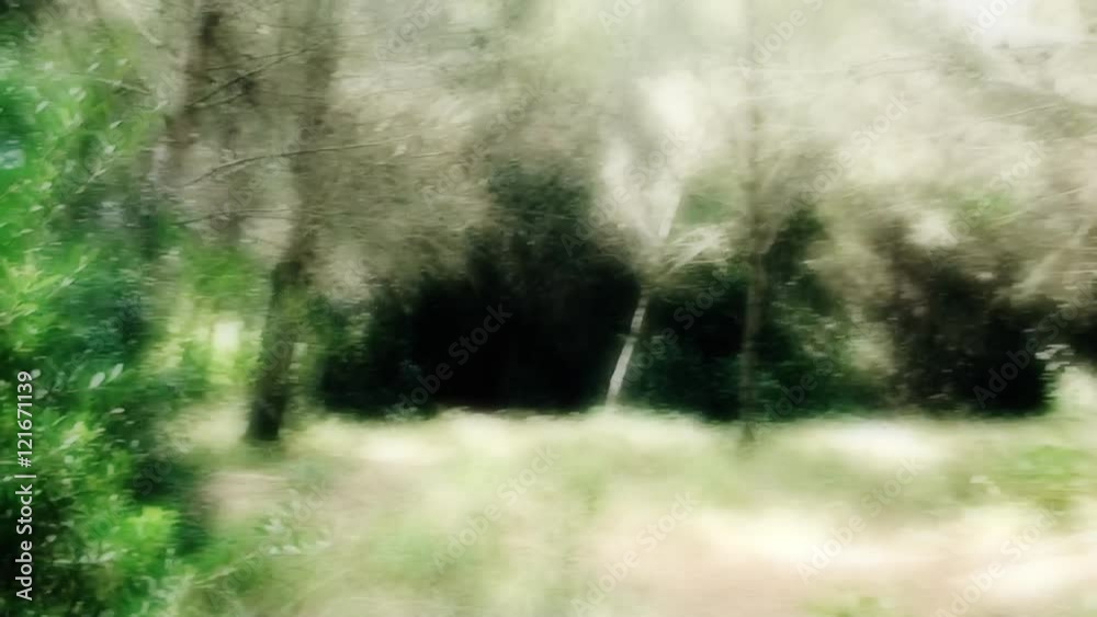 Fast timelapse of a run in the woods, ending near a lake. Flashback style.
