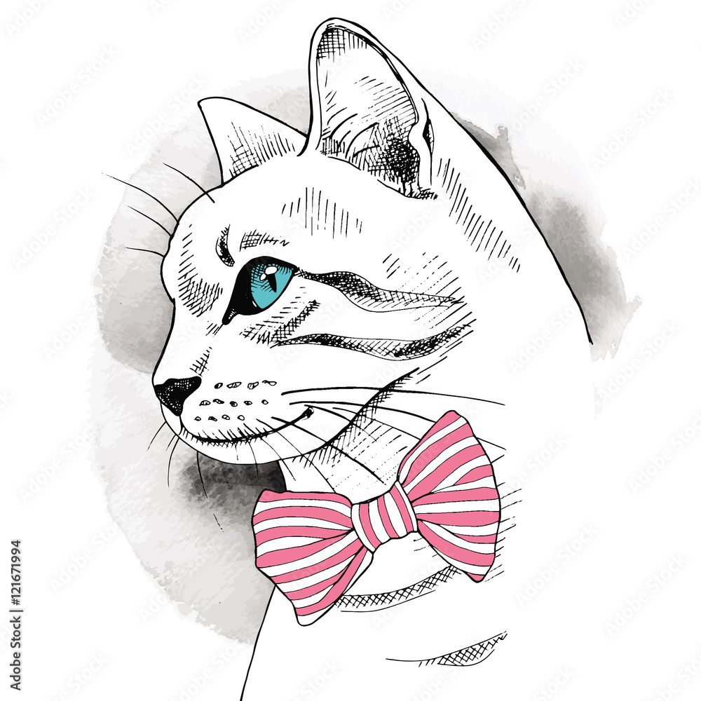 Portrait in profile of a cat with a bow. Vector illustration