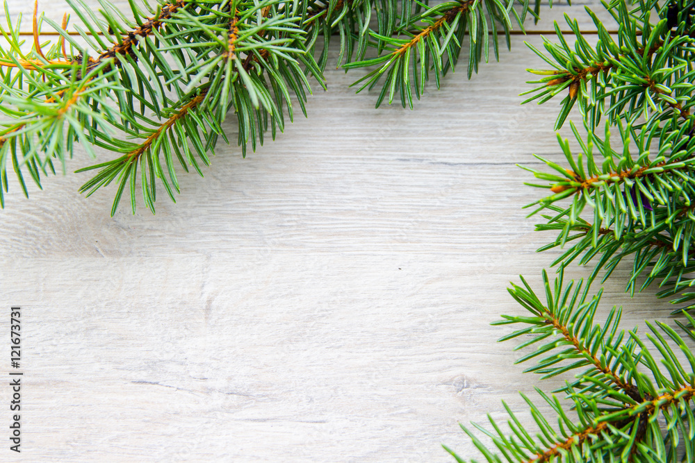 fir branch on wood fir branch on wood