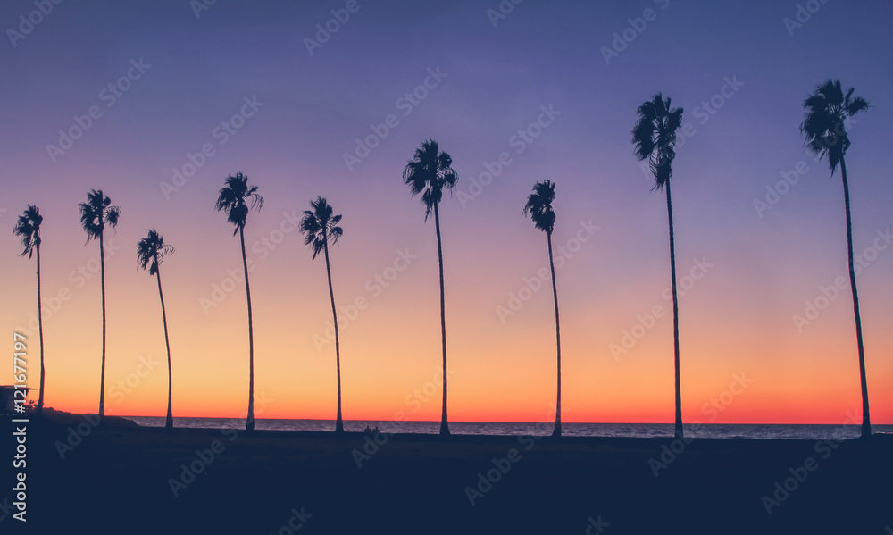 Vintage California Beach Photo - Row of palm trees silhouettes during a colorful sunset at the beach in California  - obrazy, fototapety, plakaty 