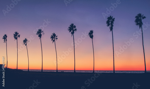 Vintage California Beach Photo - Row of palm trees silhouettes during a colorful sunset at the beach in California  photo