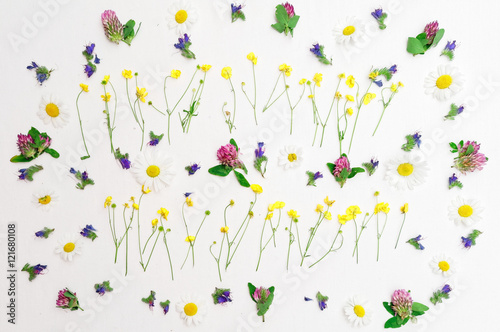 Frame of ranunculus clover chamomile and field flowers on white © Roman Babakin