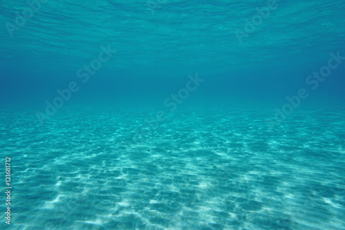 Natural underwater scene of a shallow sandy seabed below water surface, Pacific ocean, lagoon of Tikehau, Tuamotu, French Polynesia