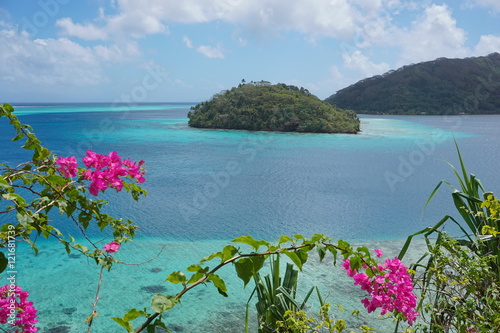 Tropical island in the lagoon of Huahine with flowers in foreground, motu Vaiorea, Bourayne bay, Pacific ocean, French Polynesia