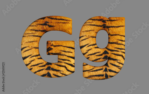 Form letters from program design 3d image of a tiger skin. photo