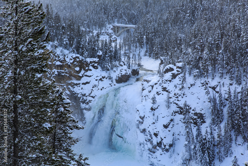 Obraz premium Yellowstone National Park