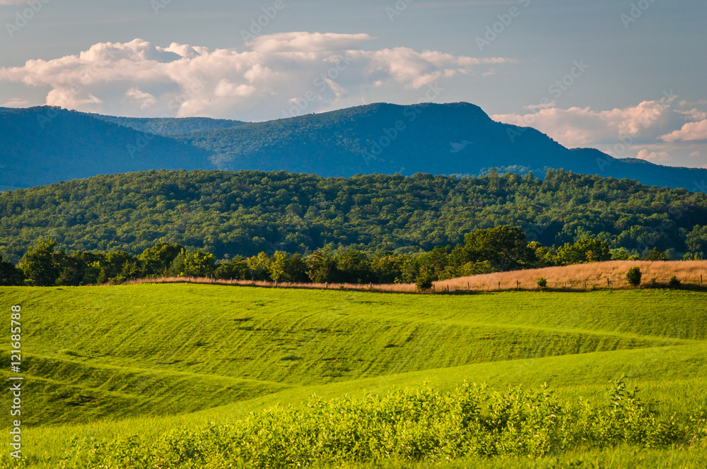 Fields and view of distant mountains in the rural Shenandoah Val