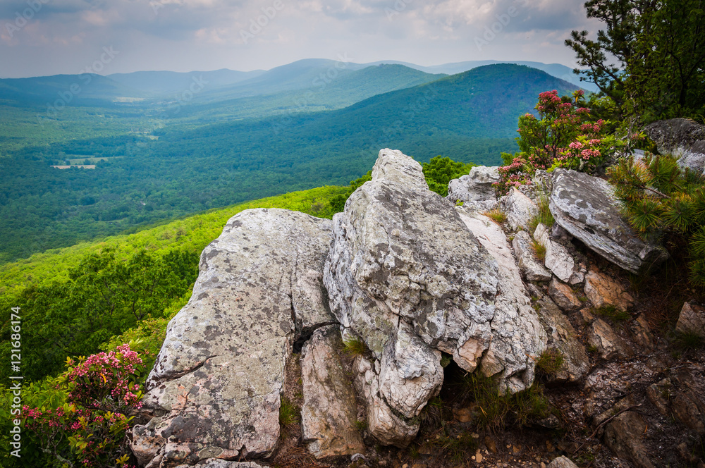 View of the Ridge and Valley Appalachians from Tibbet Knob, in G