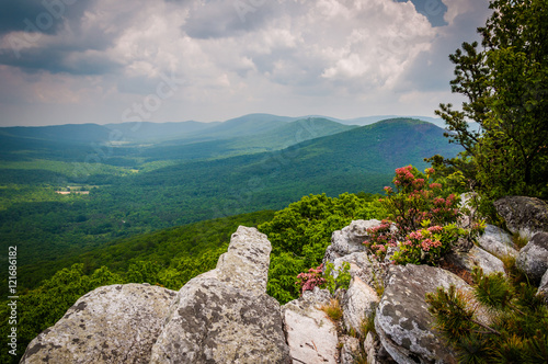 View of the Ridge and Valley Appalachians from Tibbet Knob, in G photo