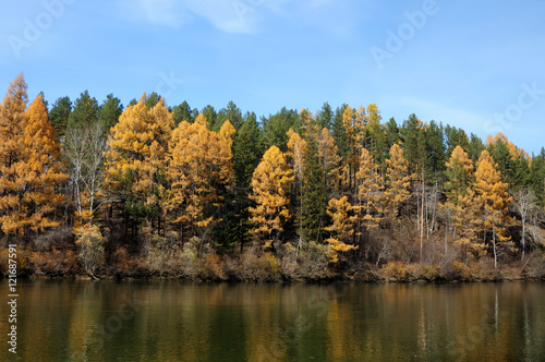 bright autumn landsape. blue sky and colorful green  yelow and orage foliage reflect in calm water of river 