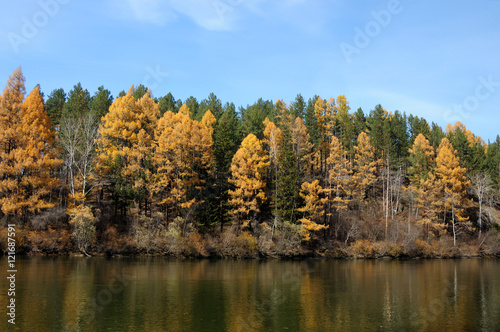 bright autumn landsape. blue sky and colorful green, yelow and orage foliage reflect in calm water of river/