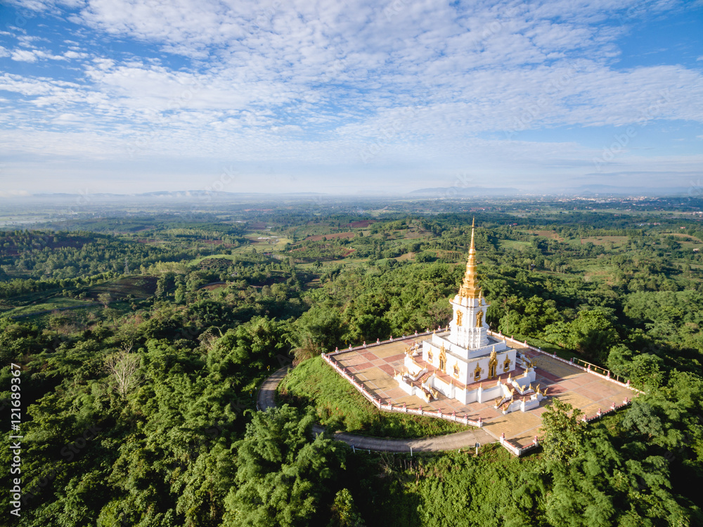 Aerial shot of big pagoda