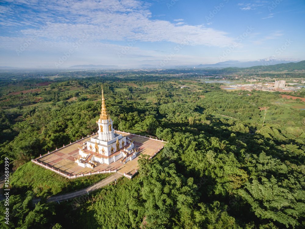 Aerial shot of big pagoda