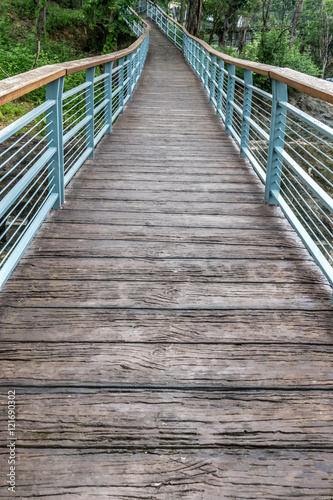 Fototapeta Naklejka Na Ścianę i Meble -  Footbridge in the park