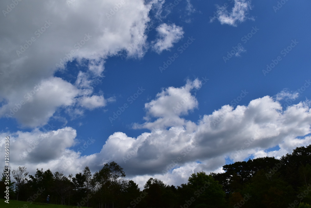 秋の青空と森