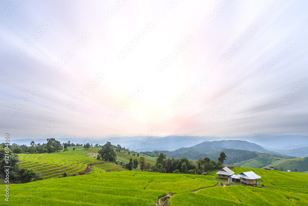 Nature green Terraced Rice Field of Rainy Season, a major tourist attraction in Pa Pong Pieng, Mae Chaem, Chiangmai, Thailand Nature green Terraced Rice Field of Rainy Season, a major tourist attraction in Pa Pong Pieng, Mae Chaem, Chiangmai, Thailand