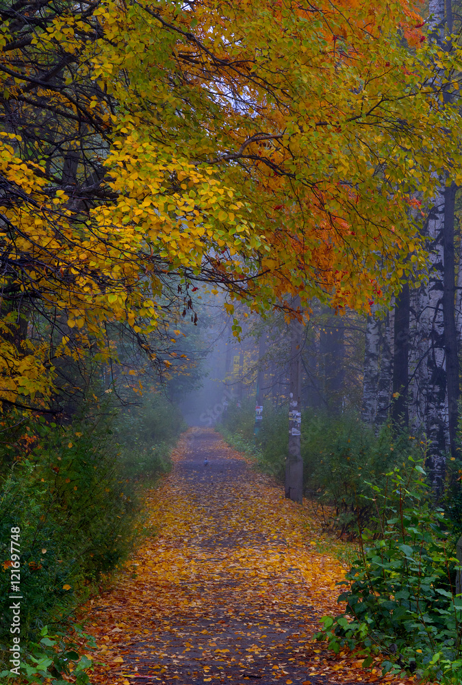 foggy morning  park sidewalk in the autumn